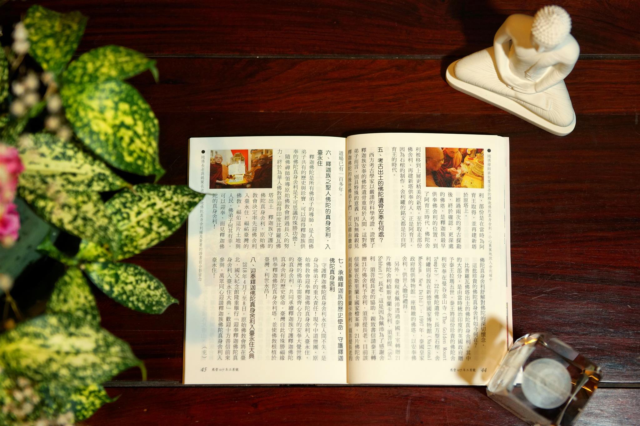 fosheli-meitibaodao-4.jpg
