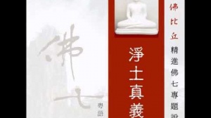 淨土真義 第四集 (粵語翻譯)