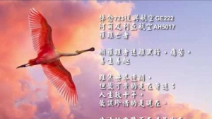 【來不及道別的哀傷】