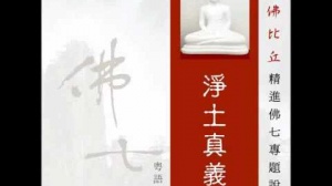 淨土真義 第四集 (華語)